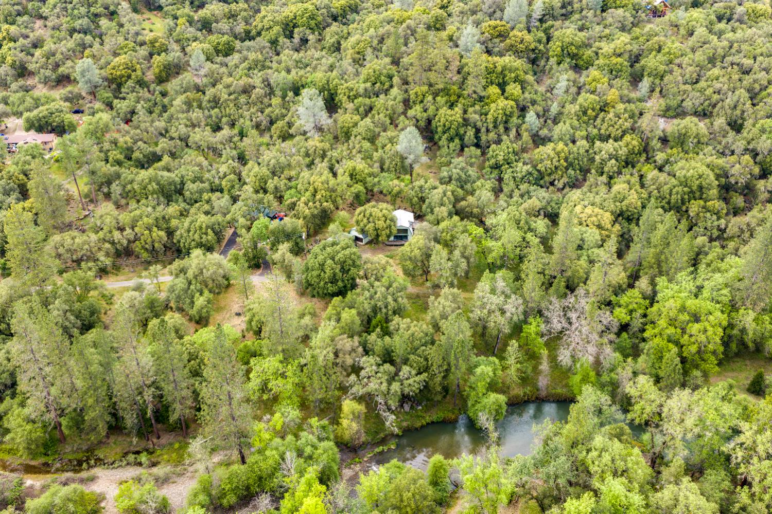 7321 Morning Canyon Road Placerville, CA 95667 - Photo 38 of 39