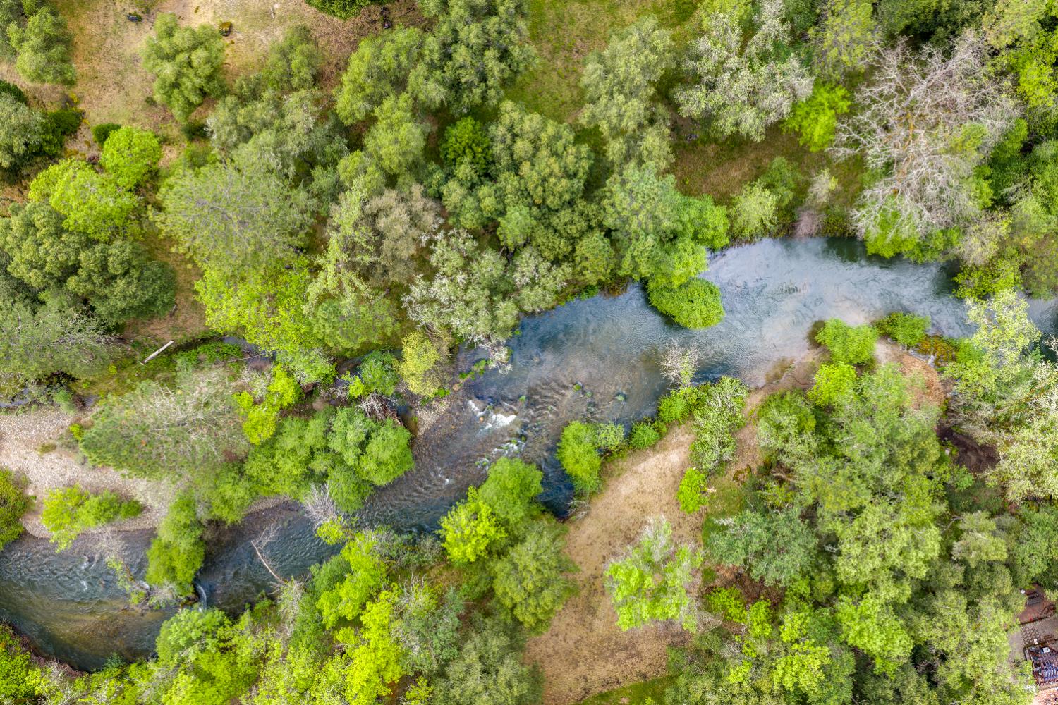 7321 Morning Canyon Road Placerville, CA 95667 - Photo 4 of 39