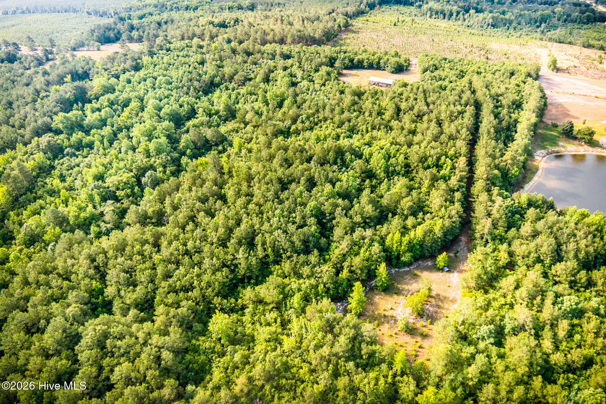 3232 Adams Road Morven, NC 28119 - Photo 8 of 18