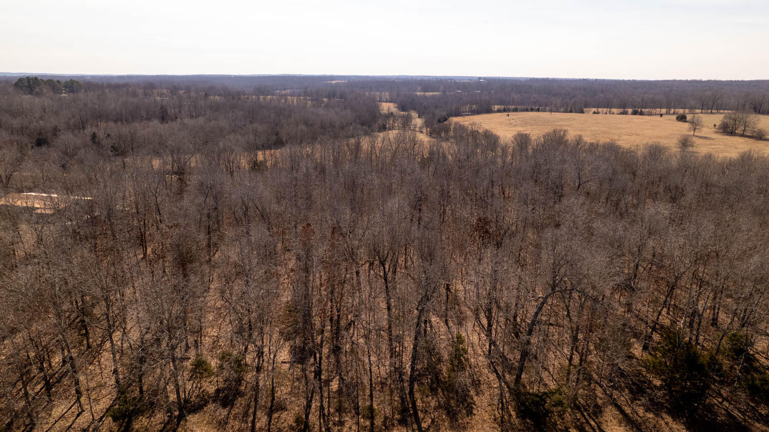 0 Pleasant Run Road Mammoth Spring, AR 72554 - Photo 25 of 35 329 acres 042