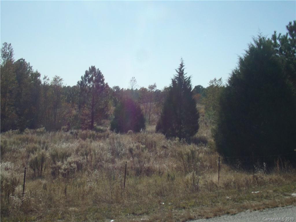 Tbd Landfill Road Jefferson, SC 29718 - Photo 1 of 4