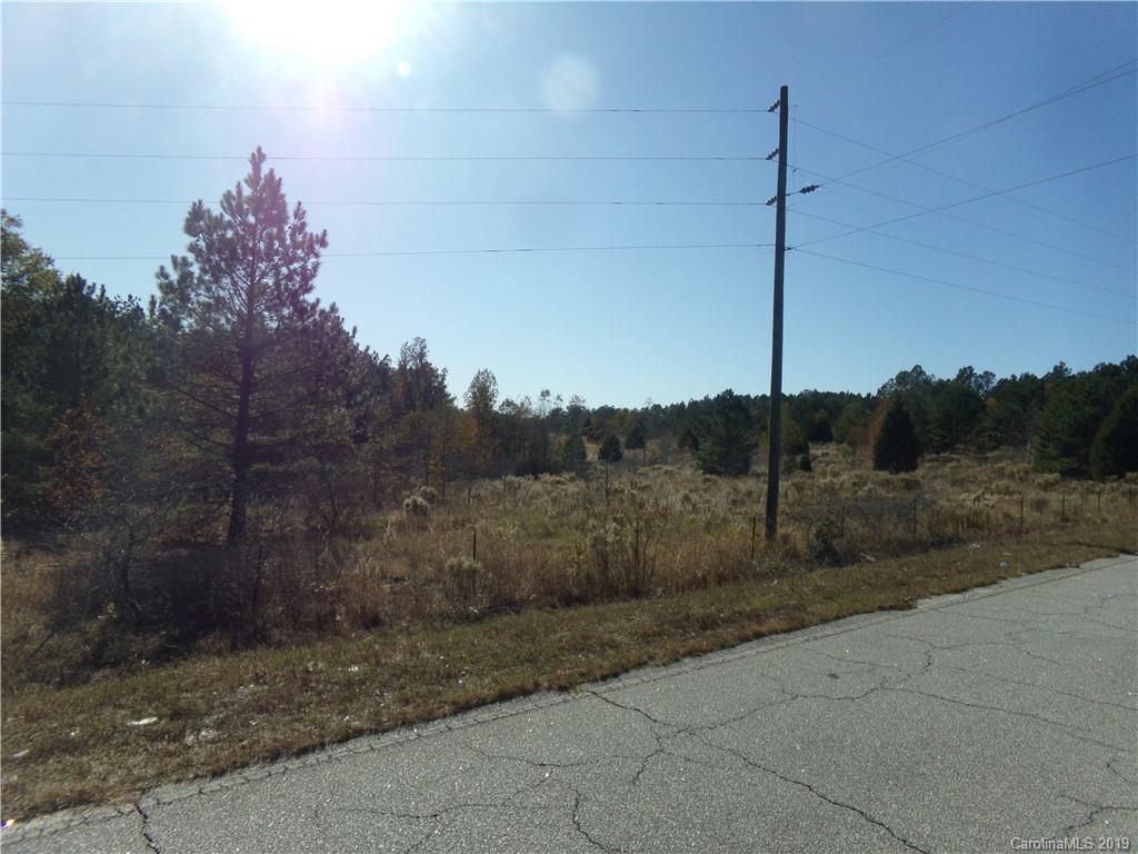 Tbd Landfill Road Jefferson, SC 29718 - Photo 3 of 4