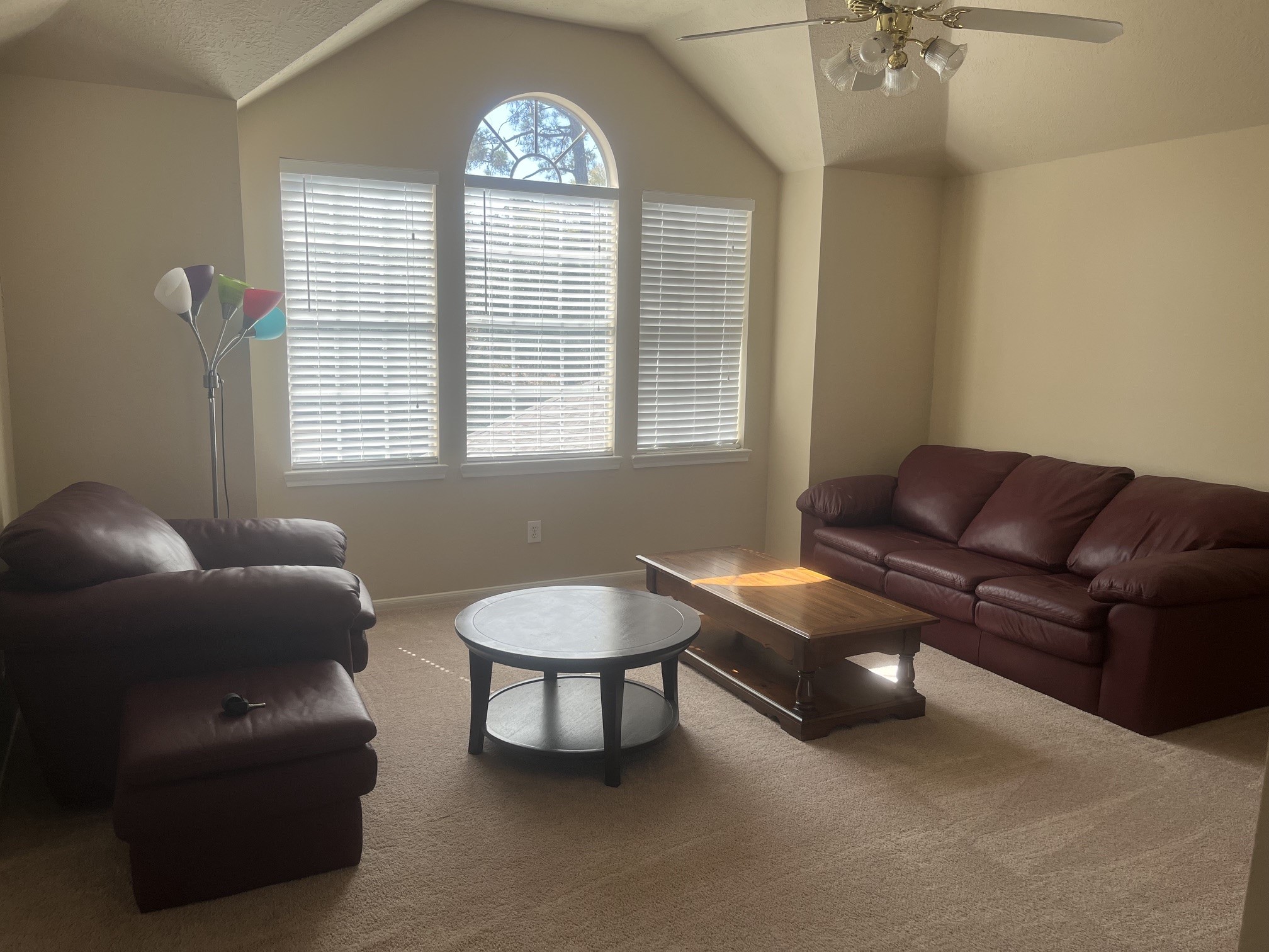 9219 Symphonic Lane Houston, TX 77040 - Photo 11 of 13