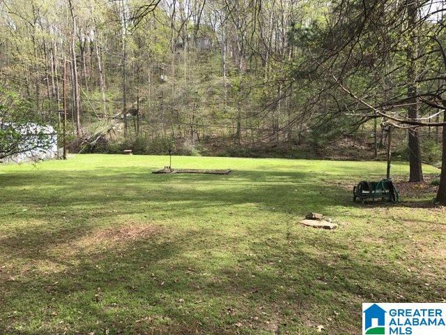 4233 Harpers Ferry Road Birmingham, AL 35213 - Photo 27 of 27