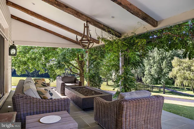 a view of a trees in a yard