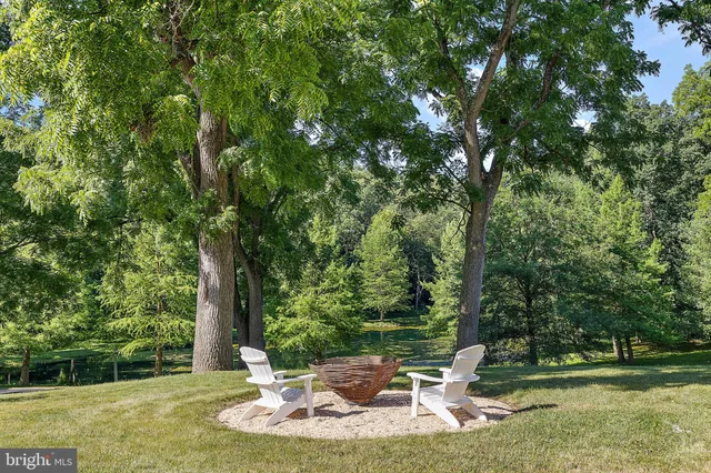 a backyard of a house with lots of plants and large trees