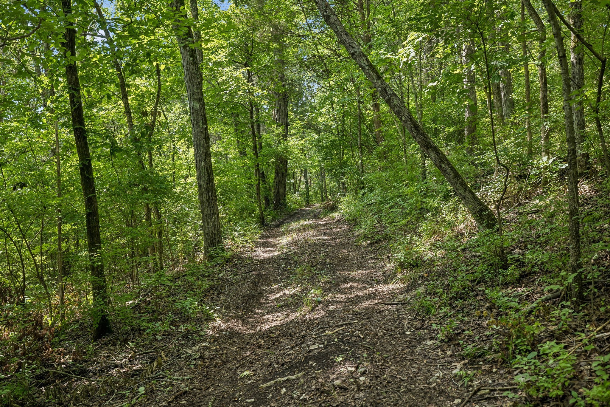 1466 Berea Church Road Lebanon, TN 37087 - Photo 85 of 93 Gallery Image 85