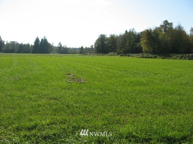 0 Berg Road Everson, WA 98247 - Photo 1 of 1