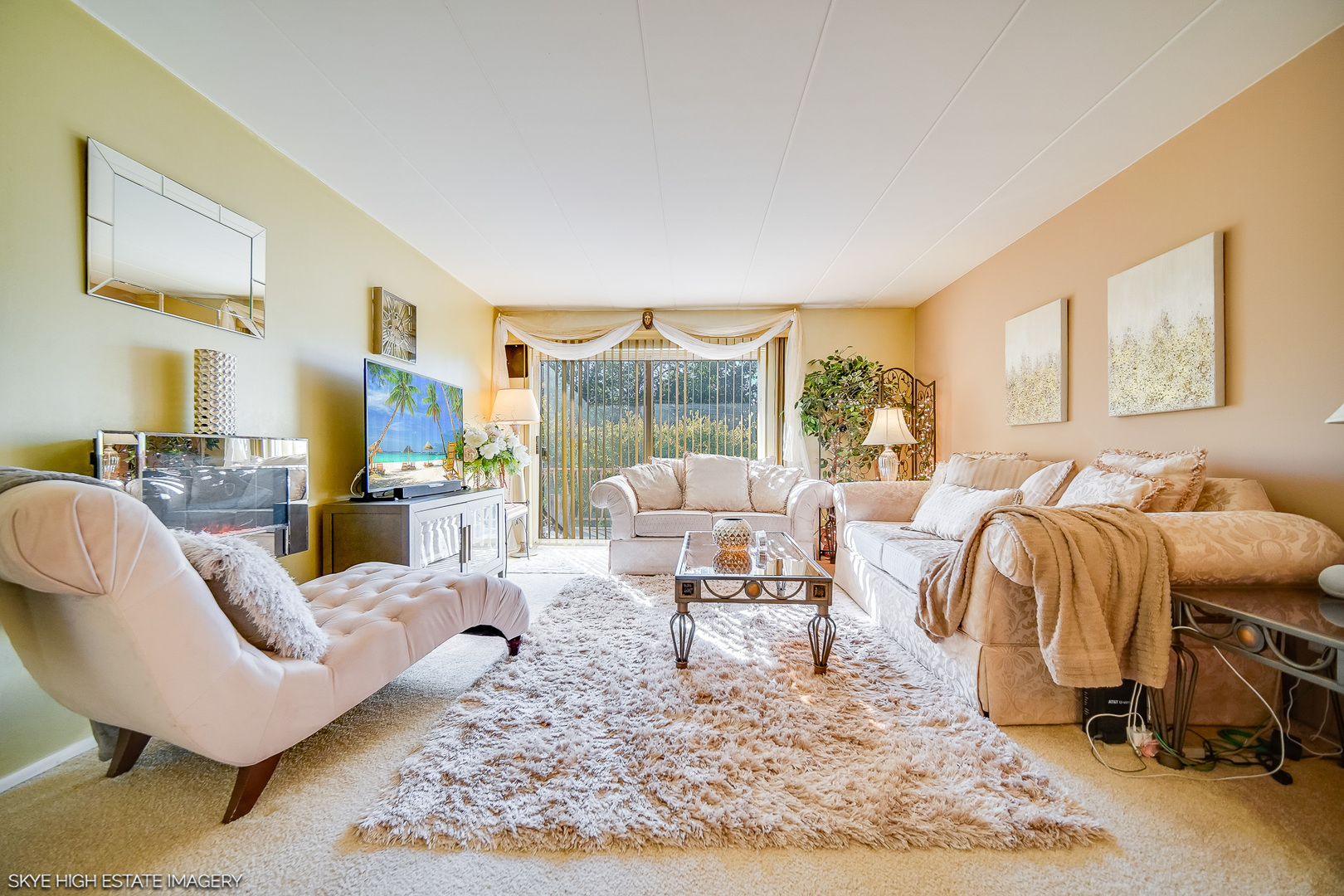 18855 Burnham Avenue, Unit 234 Lansing, IL 60438 - Photo 6 of 19 a living room with furniture a rug potted plant and a large window