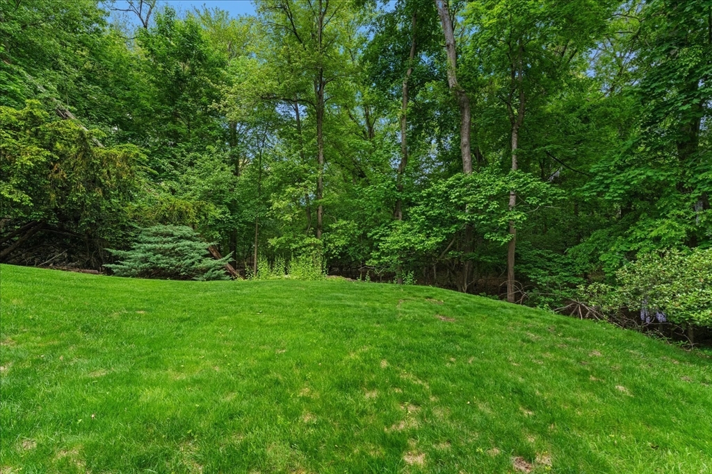 41 A Hunnewell Street Wellesley, MA 02481 - Photo 15 of 21