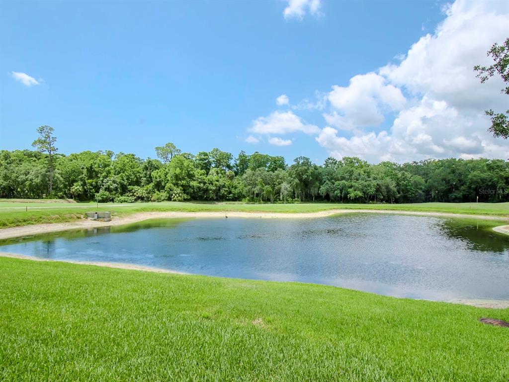 9703 Springmeadow Drive New Port Richey, FL 34655 - Photo 40 of 78 Gallery Image 40