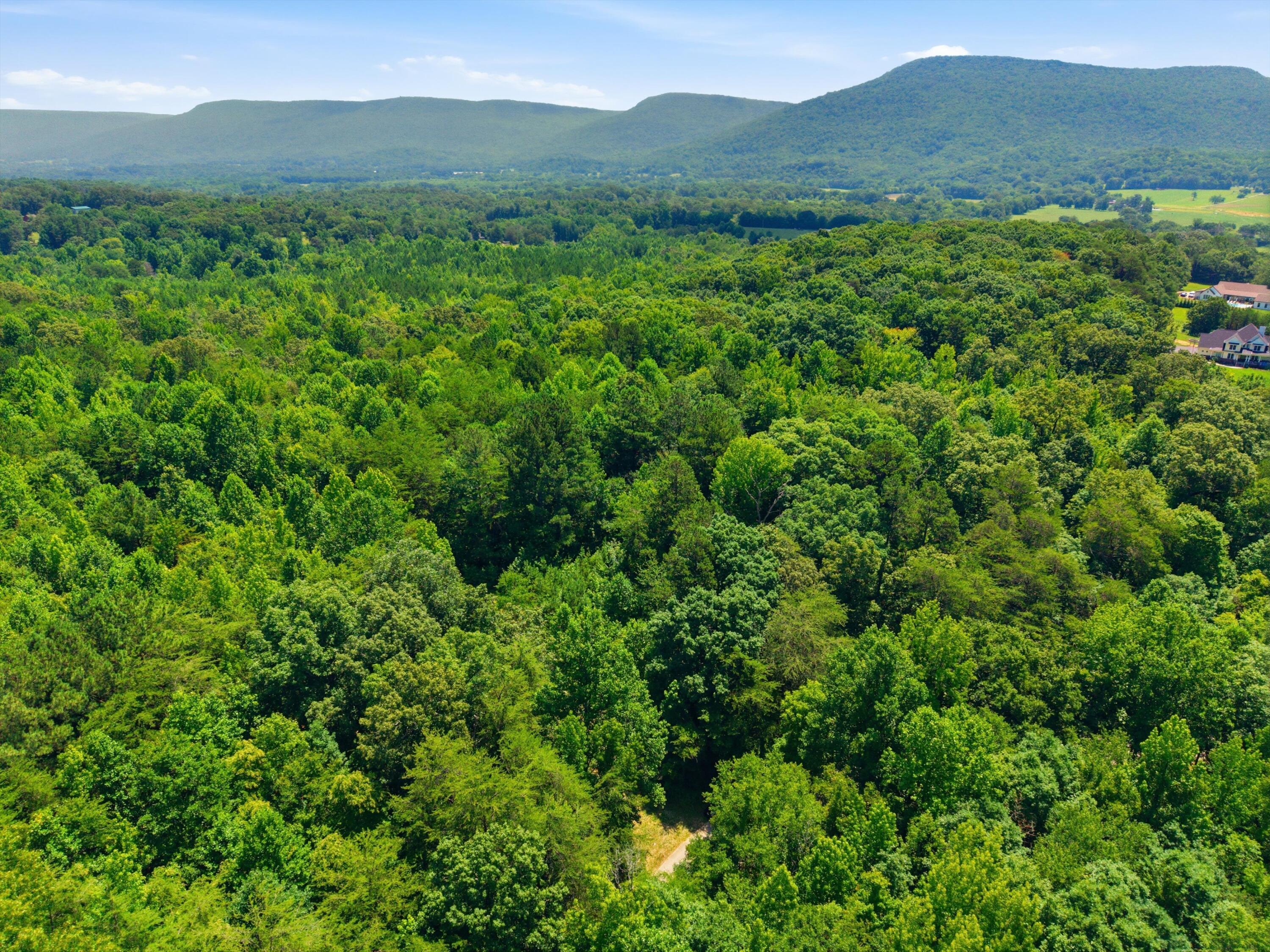 0 West Francis Spring Road Whitwell, TN 37397 - Photo 19 of 23 18-FrancisSpringRd-16
