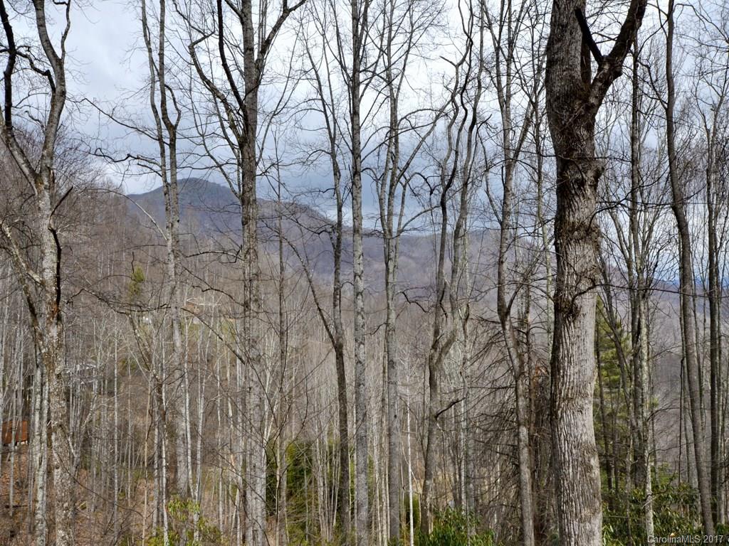 692 Pot Leg Road Waynesville, NC 28785 - Photo 11 of 15