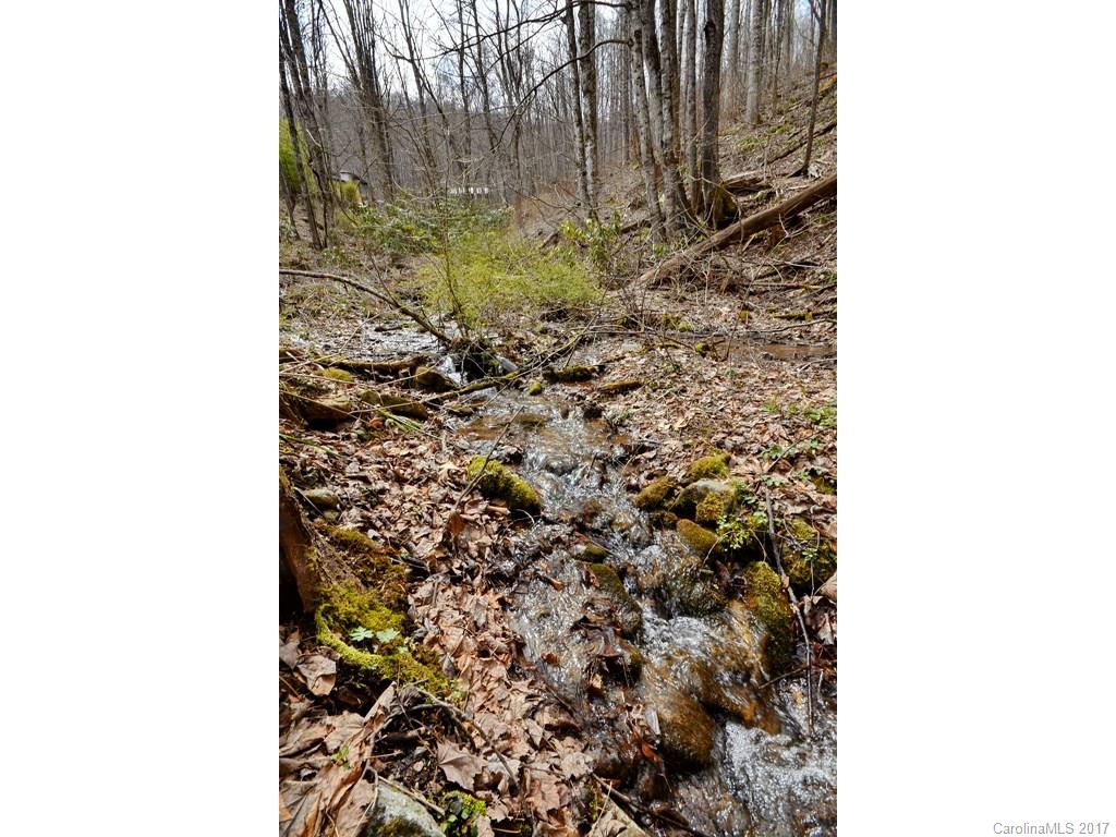 692 Pot Leg Road Waynesville, NC 28785 - Photo 15 of 15