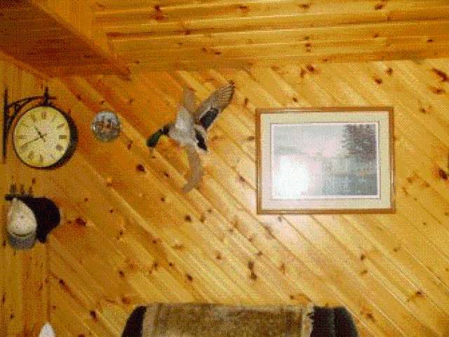 N8018 Wilson Lake Road Phillips, WI 54555 - Photo 10 of 20 Gallery Image 10