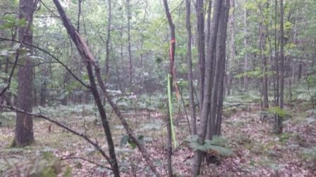 80 State Land Road Reed City, MI 49677 - Photo 3 of 9 20150818_171902