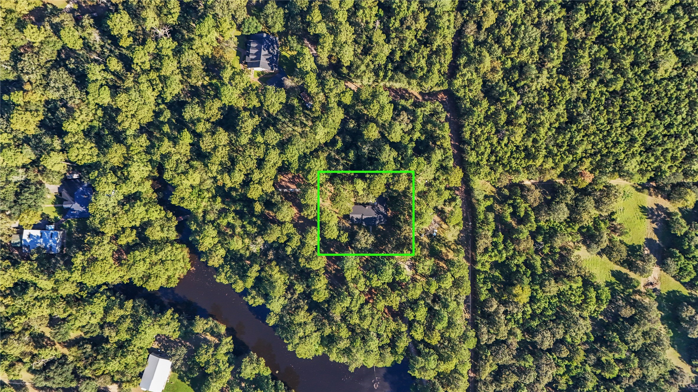 23311 Nichols Sawmill Road Hockley, TX 77447 - Photo 23 of 23 a view of a tree