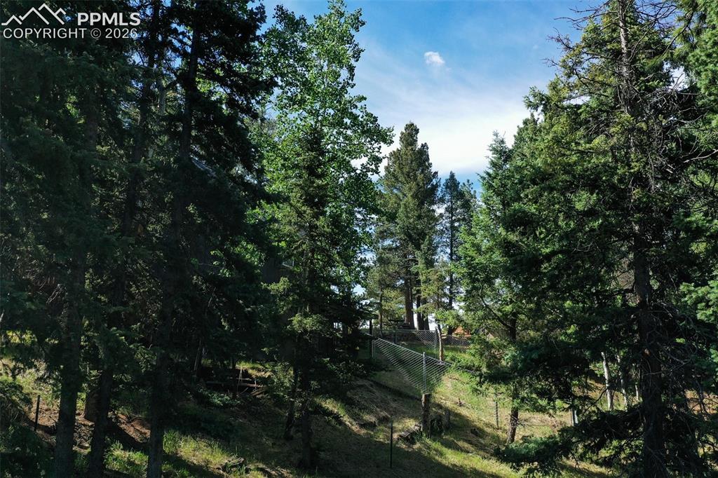 377 Ridge Road Divide, CO 80814 - Photo 13 of 50