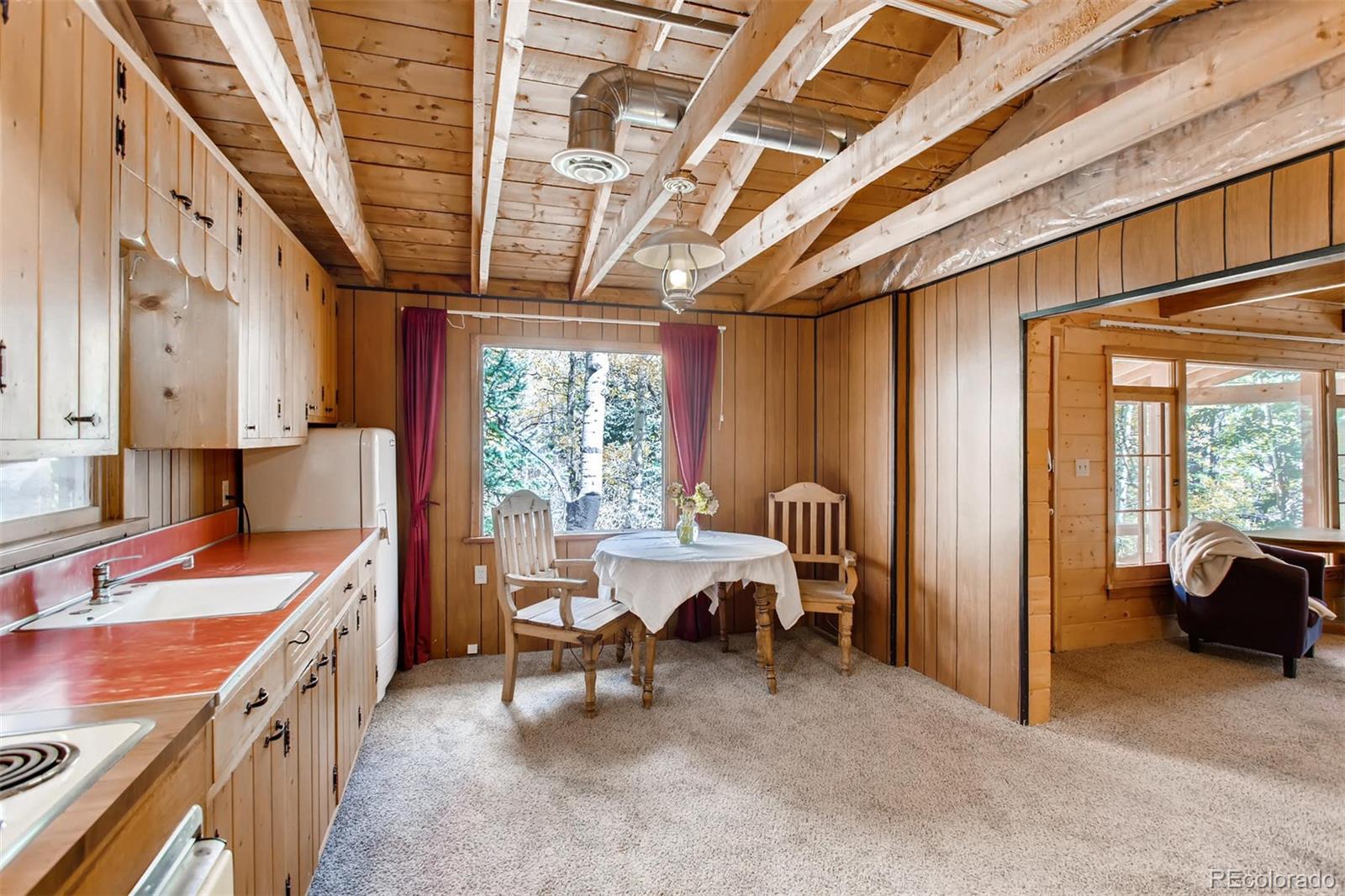 378 Rd P-53 Bailey, CO 80421 - Photo 14 of 28 Gallery Image 14