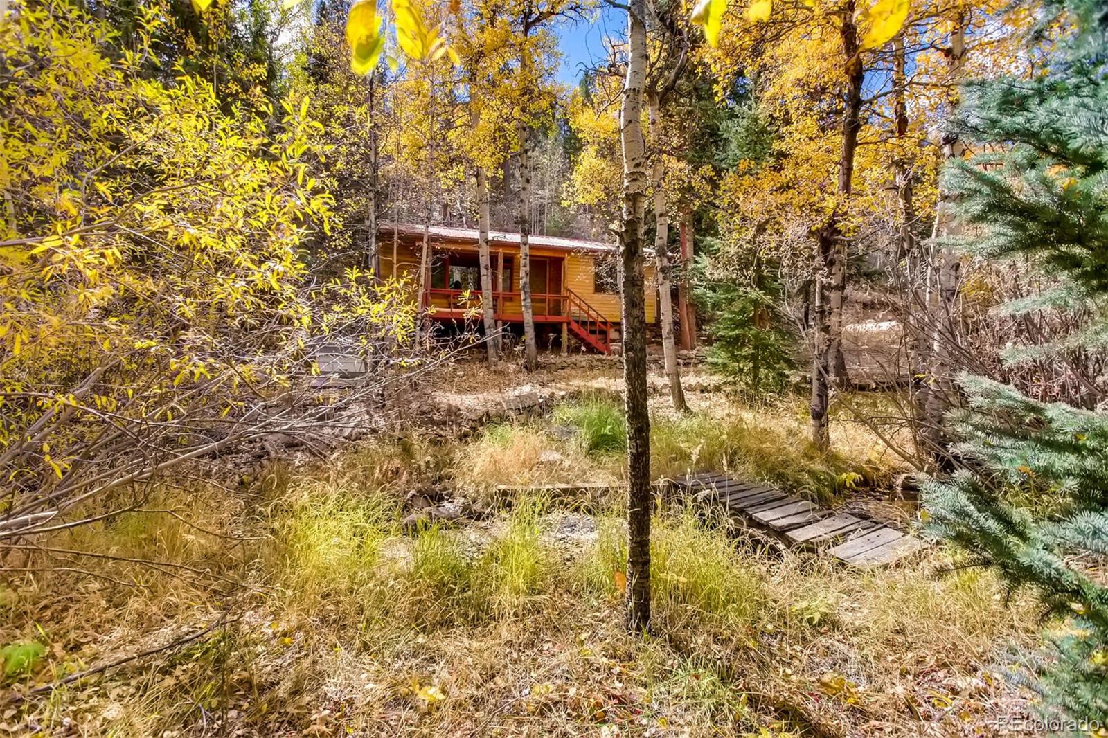 378 Rd P-53 Bailey, CO 80421 - Photo 4 of 28 Gallery Image 4