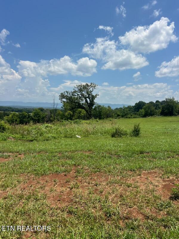 5087 Gregory Road Greenback, TN 37742 - Photo 1 of 2 IMG_6868_1783039594851