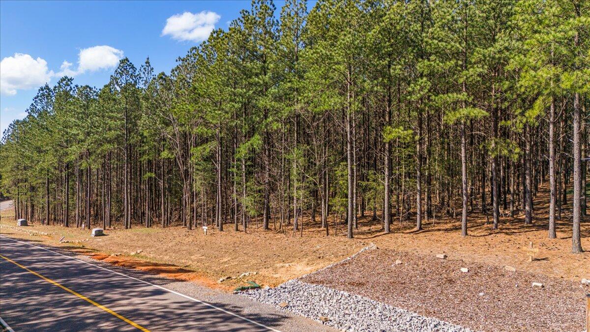 3940 Crockett Point, Unit JF222 Jasper, TN 37347 - Photo 4 of 16 2-DJI_20250312104112_0189_D