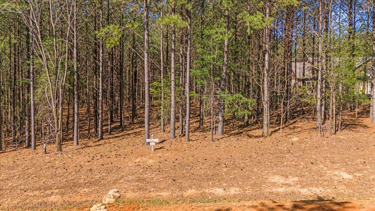 3940 Crockett Point, Unit JF222 Jasper, TN 37347 - Photo 5 of 16 3-DJI_20250312104130_0192_D