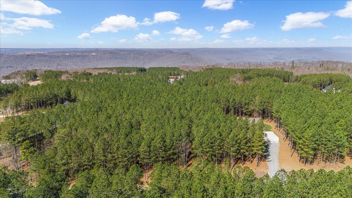3940 Crockett Point, Unit JF222 Jasper, TN 37347 - Photo 6 of 16 4-DJI_20250312104218_0198_D