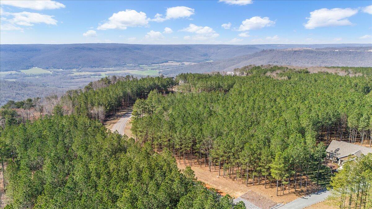 3940 Crockett Point, Unit JF222 Jasper, TN 37347 - Photo 7 of 16 5-DJI_20250312104235_0201_D