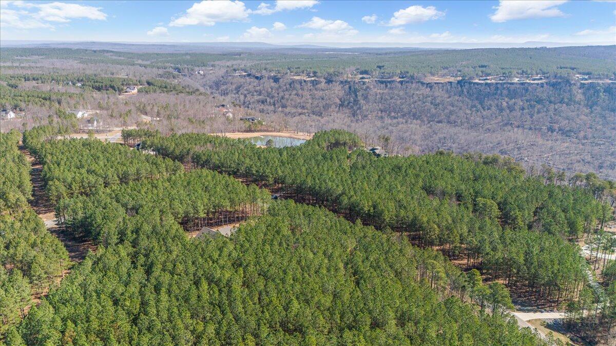 3940 Crockett Point, Unit JF222 Jasper, TN 37347 - Photo 9 of 16 7-DJI_20250312104345_0213_D