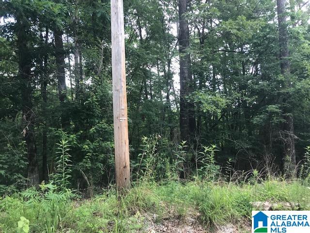 Mountain View Vance, AL 35490 - Photo 6 of 28
