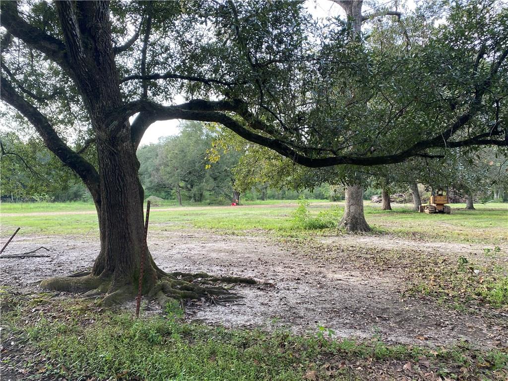 Jb-2 A George White Road Holden, LA 70744 - Photo 2 of 10