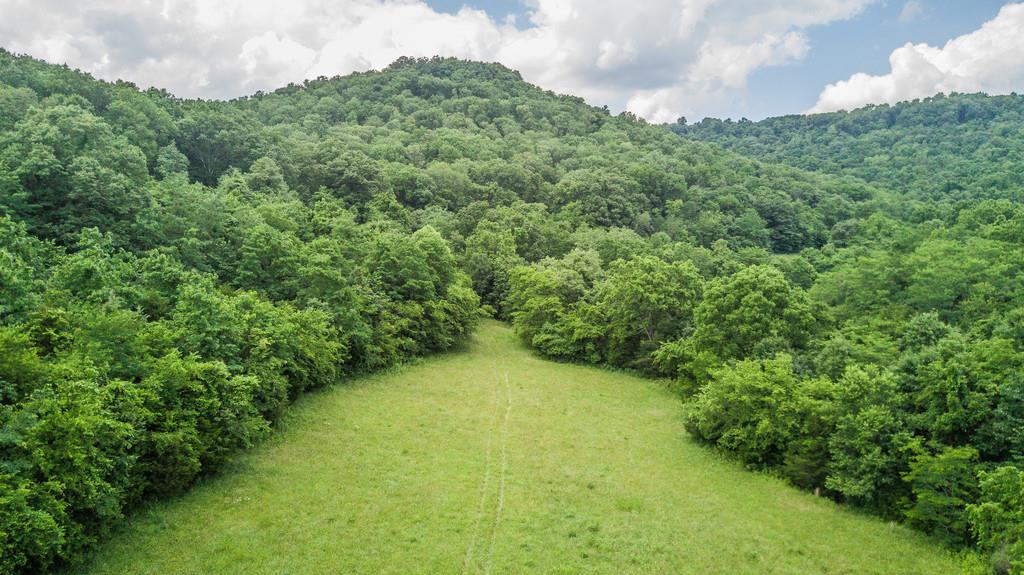 11705 Big Springs Road Christiana, TN 37037 - Photo 19 of 27 Gallery Image 19