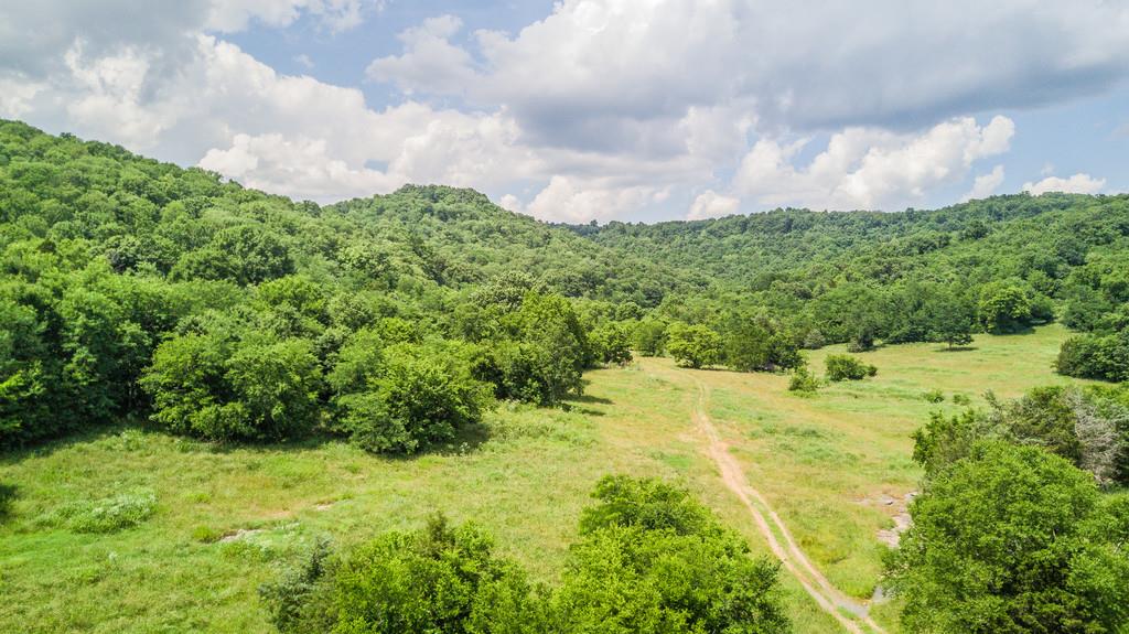 11705 Big Springs Road Christiana, TN 37037 - Photo 3 of 27 Gallery Image 3