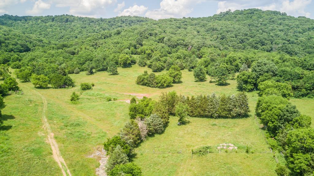 11705 Big Springs Road Christiana, TN 37037 - Photo 4 of 27 Gallery Image 4