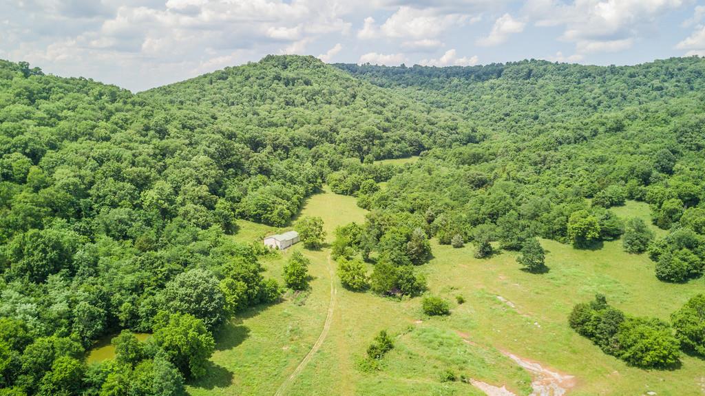 11705 Big Springs Road Christiana, TN 37037 - Photo 5 of 27 Gallery Image 5