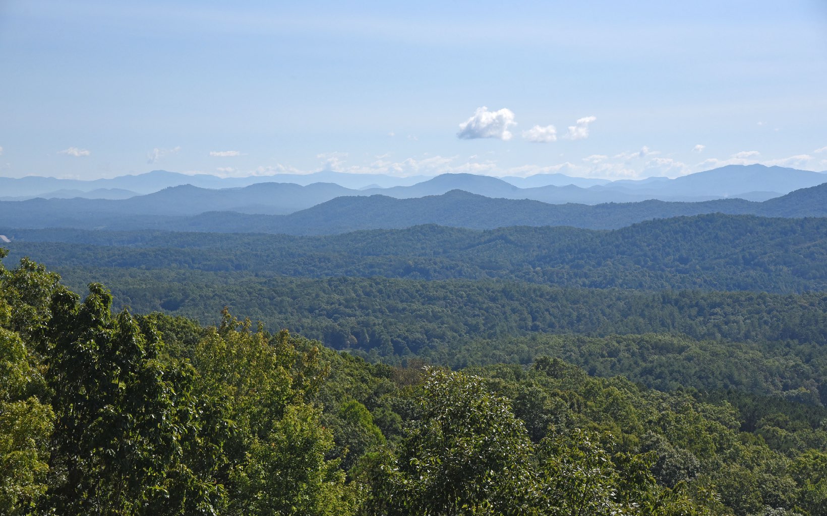 279 Rising Star Lane Ellijay, GA 30536 - Photo 23 of 70 Additional View
