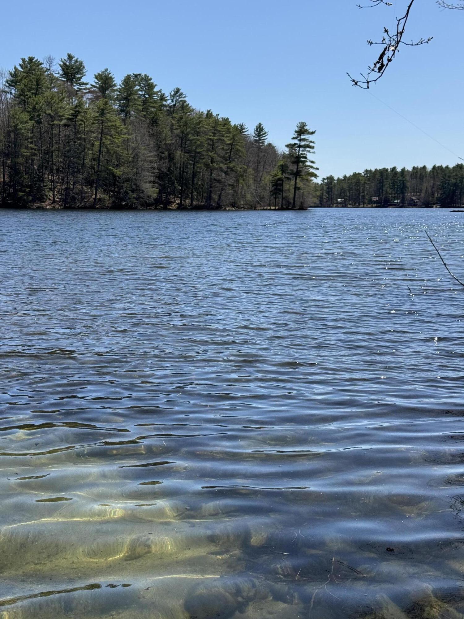 8 Emerson Drive Windham, ME 04062 - Photo 57 of 57 IMG_2572