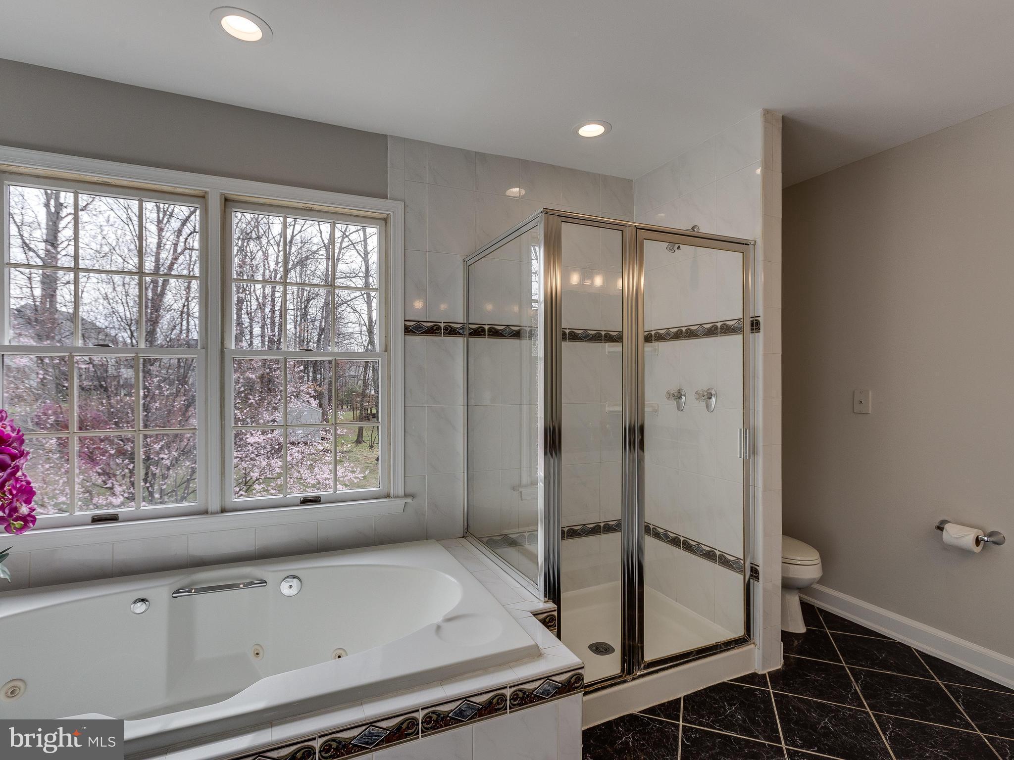 5613 Clifton Road Clifton, VA 20124 - Photo 23 of 42 Master bath with soaking tub and stand-up shower.