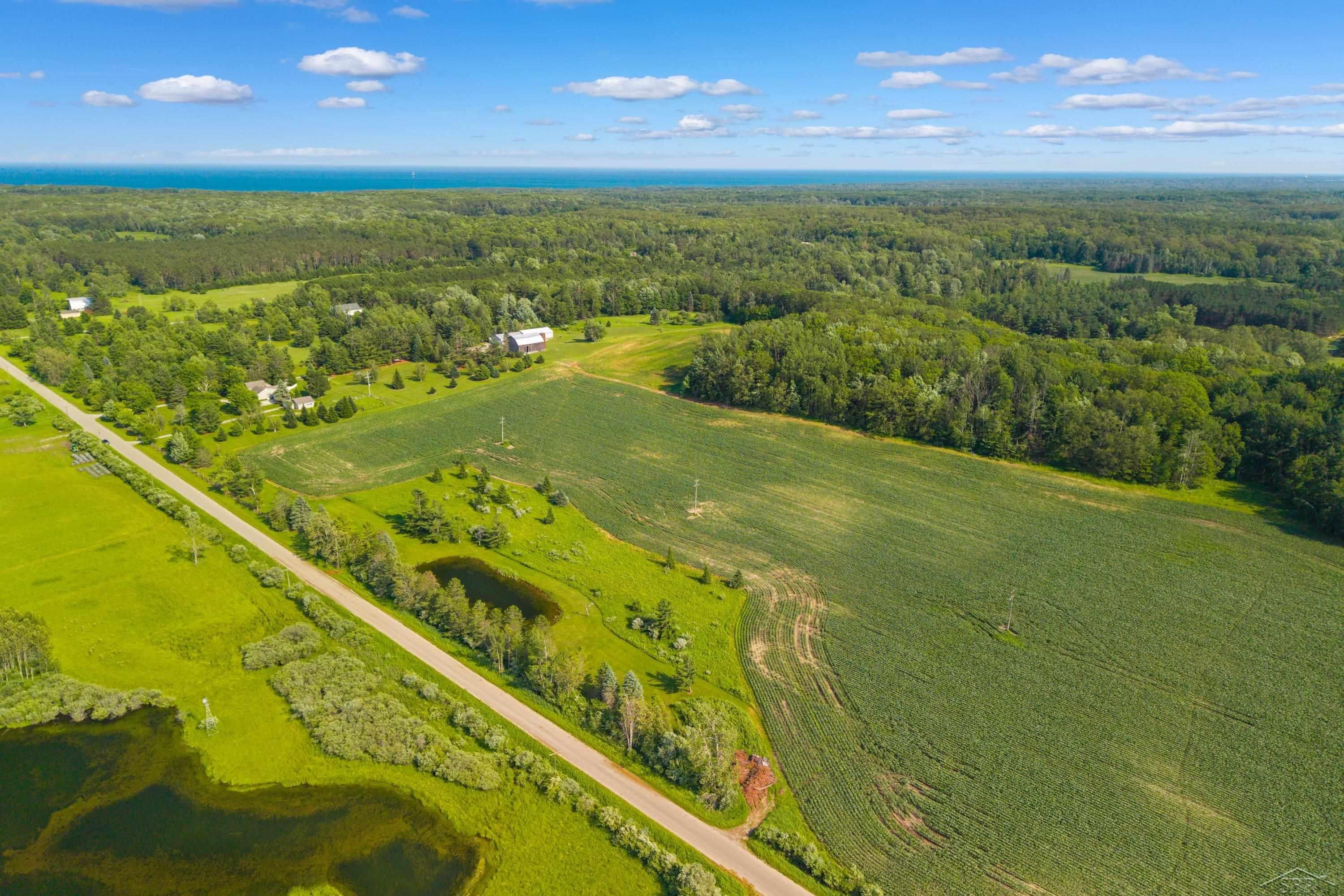4248 Procunier Road Mikado, MI 48745 - Photo 75 of 85