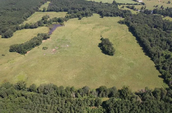 a view of swimming pool with a yard