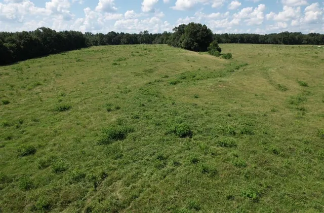 a view of an outdoor space and a yard