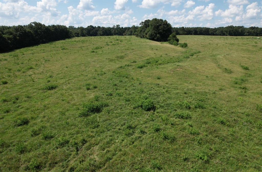 Tbd-b Cr 4037 Timpson Tx 75975 Timpson, TX 75975 - Photo 11 of 20 a view of a field with an ocean