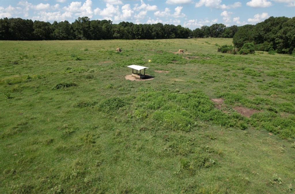 Tbd-b Cr 4037 Timpson Tx 75975 Timpson, TX 75975 - Photo 12 of 20