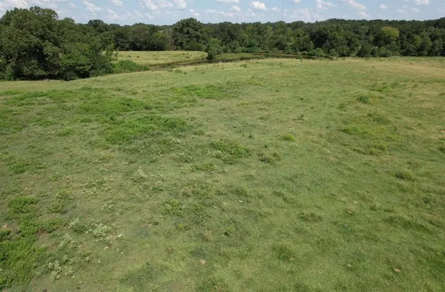 a view of a tree in front of a house