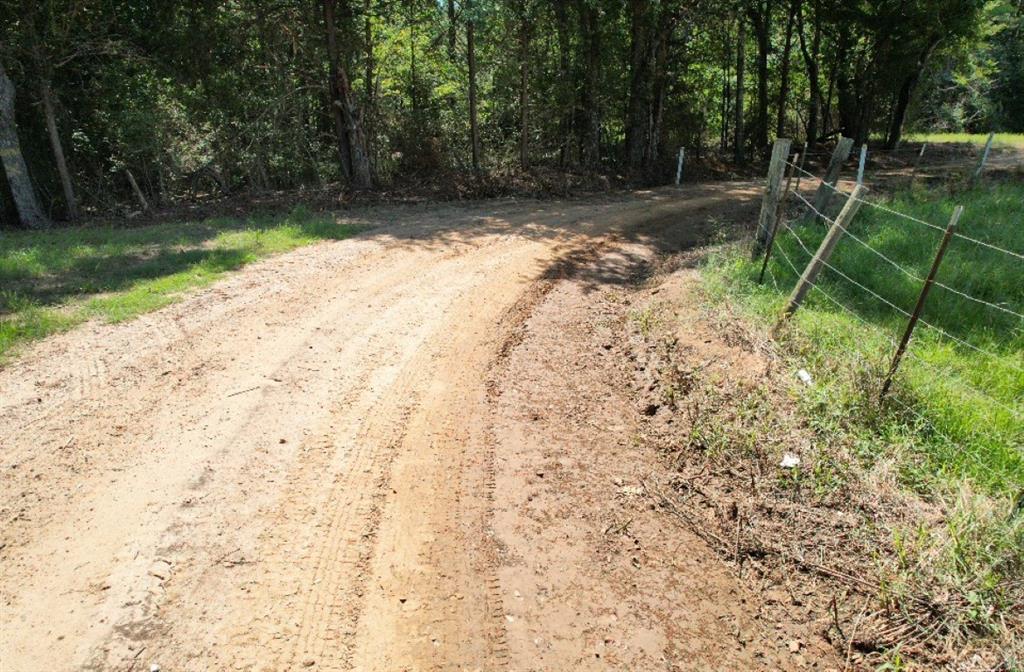Tbd-b Cr 4037 Timpson Tx 75975 Timpson, TX 75975 - Photo 16 of 20 a backyard of a house with lots of green space