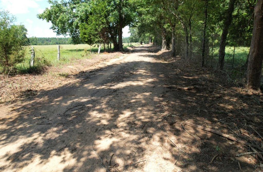 Tbd-b Cr 4037 Timpson Tx 75975 Timpson, TX 75975 - Photo 17 of 20 a view of a tree in front of a house
