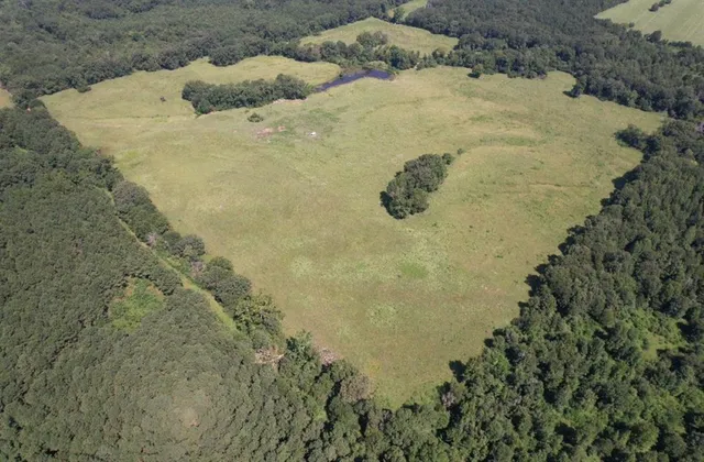 a view of a big yard with an outdoor space