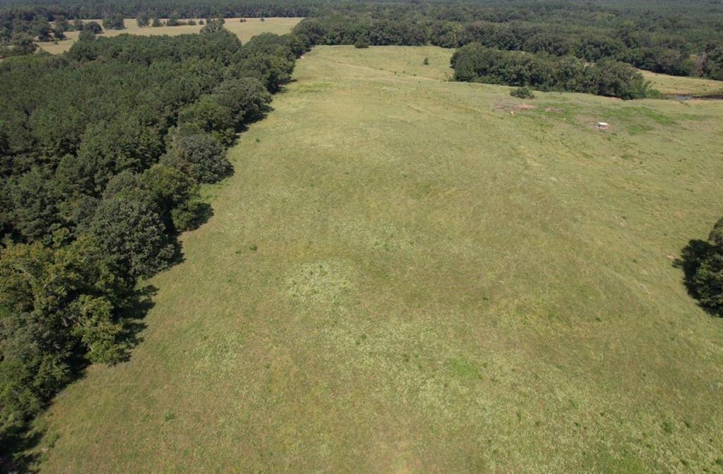 Tbd-b Cr 4037 Timpson Tx 75975 Timpson, TX 75975 - Photo 3 of 20 a view of a big yard with an outdoor space