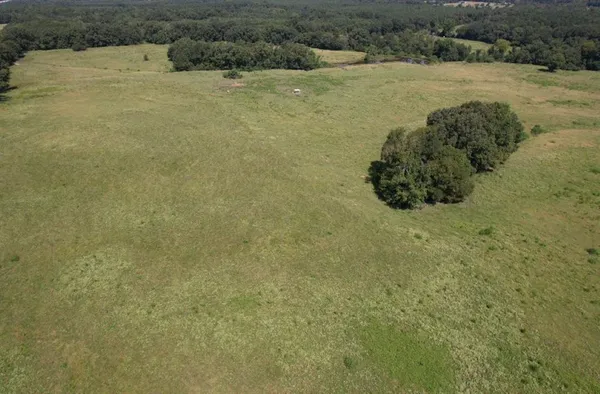 a view of a field with an ocean